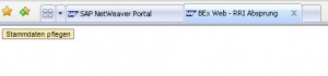 Browser Ansicht