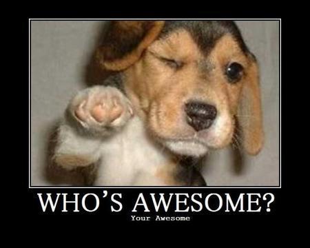 Who is awesome?