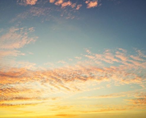 Meine Buchnotizen - Думай как миллионер от Т. Харс Экер