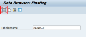 Gepflegte RSADMIN Parameter einsehen