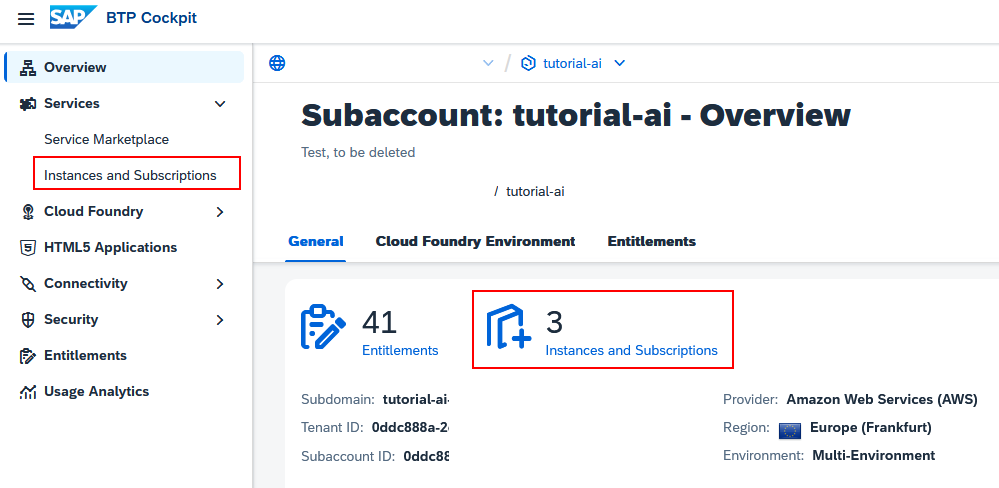 Instances and Subscriptions